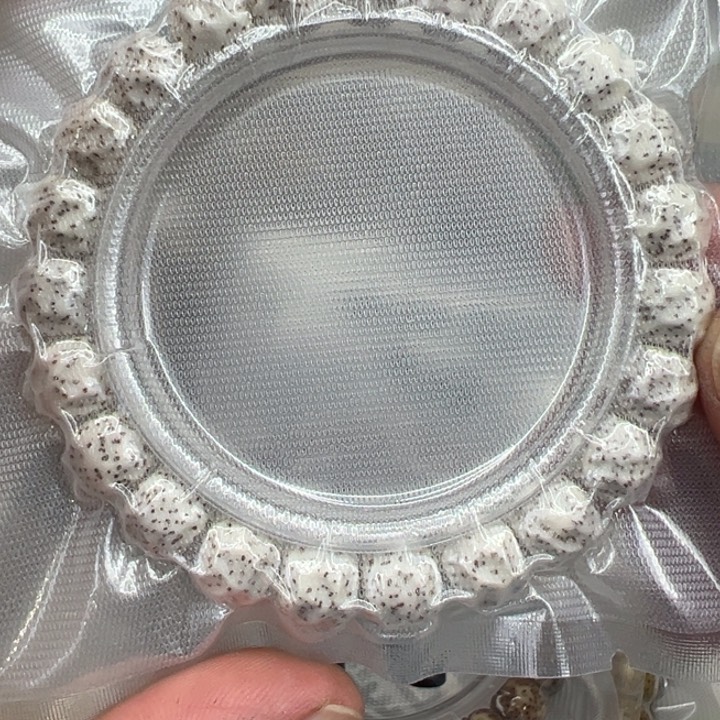 星月菩提手串5卓越原脂白星月菩提单圈无相1.0