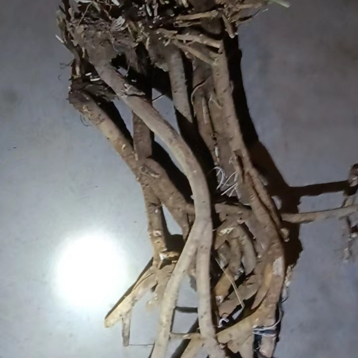 甘肃定西野生黄芪原产地直发包邮煲汤炖肉煮水滋补食用炖鸡干货