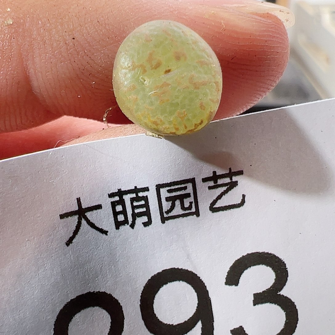 0000293 一物一拍……