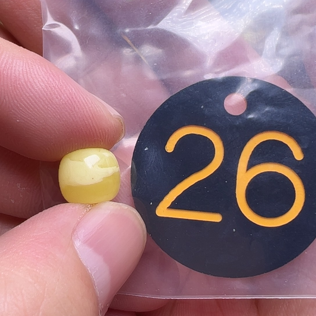 蜜蜡未镶嵌珠宝奇石10.4mm微花粉