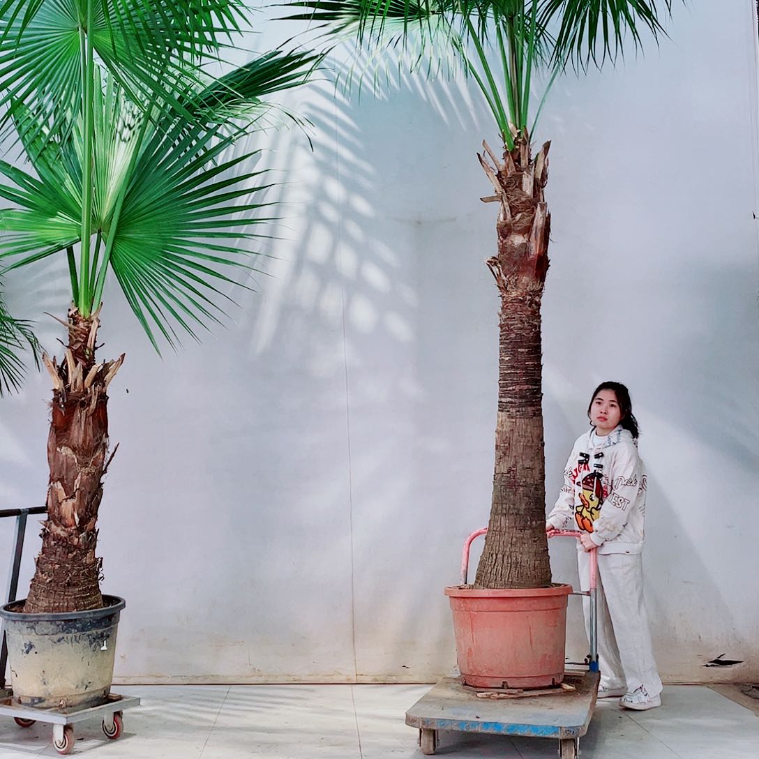 无花朵校**了8987777789