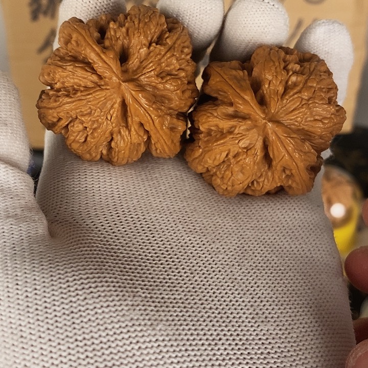 一****乐全品大尺寸粗筋尺寸44