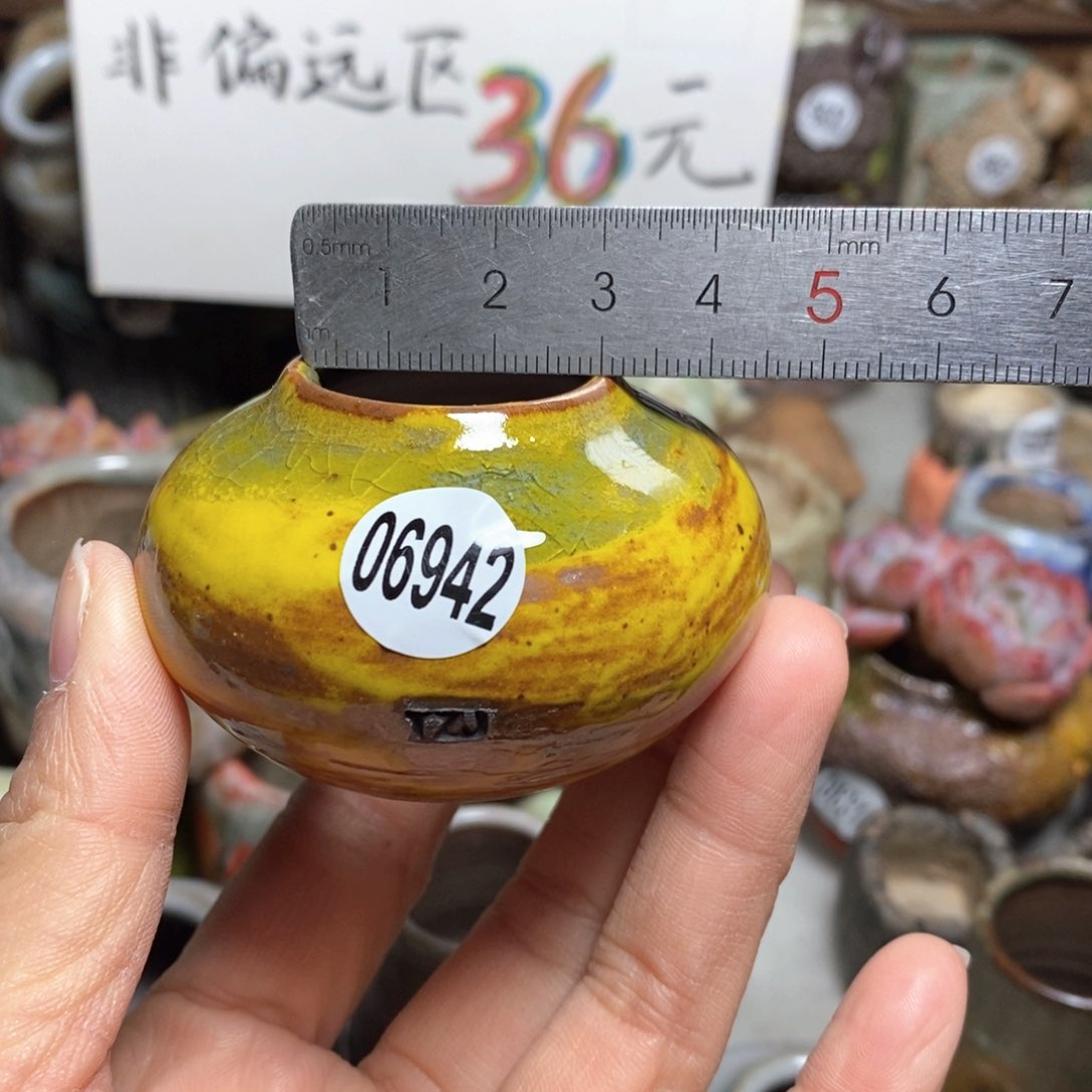 花盆拍5送一个小礼物