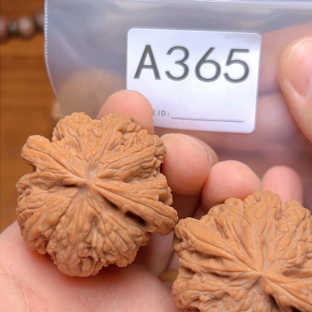 文玩核桃吊坠45大粗筋