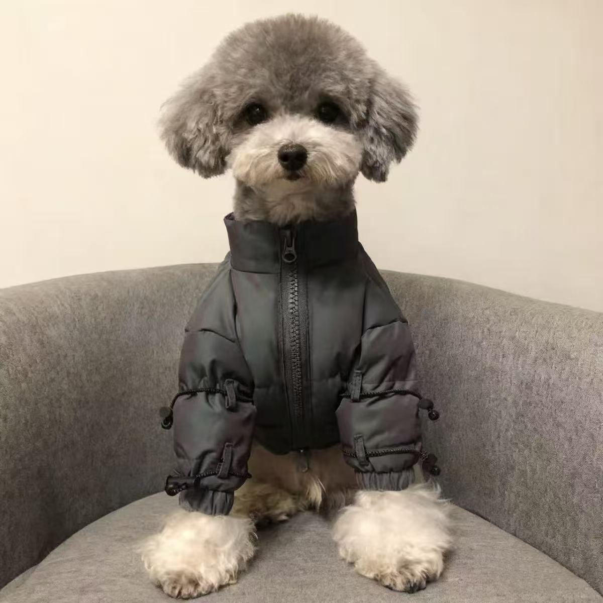 狗狗猫咪衣服雪纳瑞泰迪比熊法斗柴中小型犬潮秋冬季保暖外套