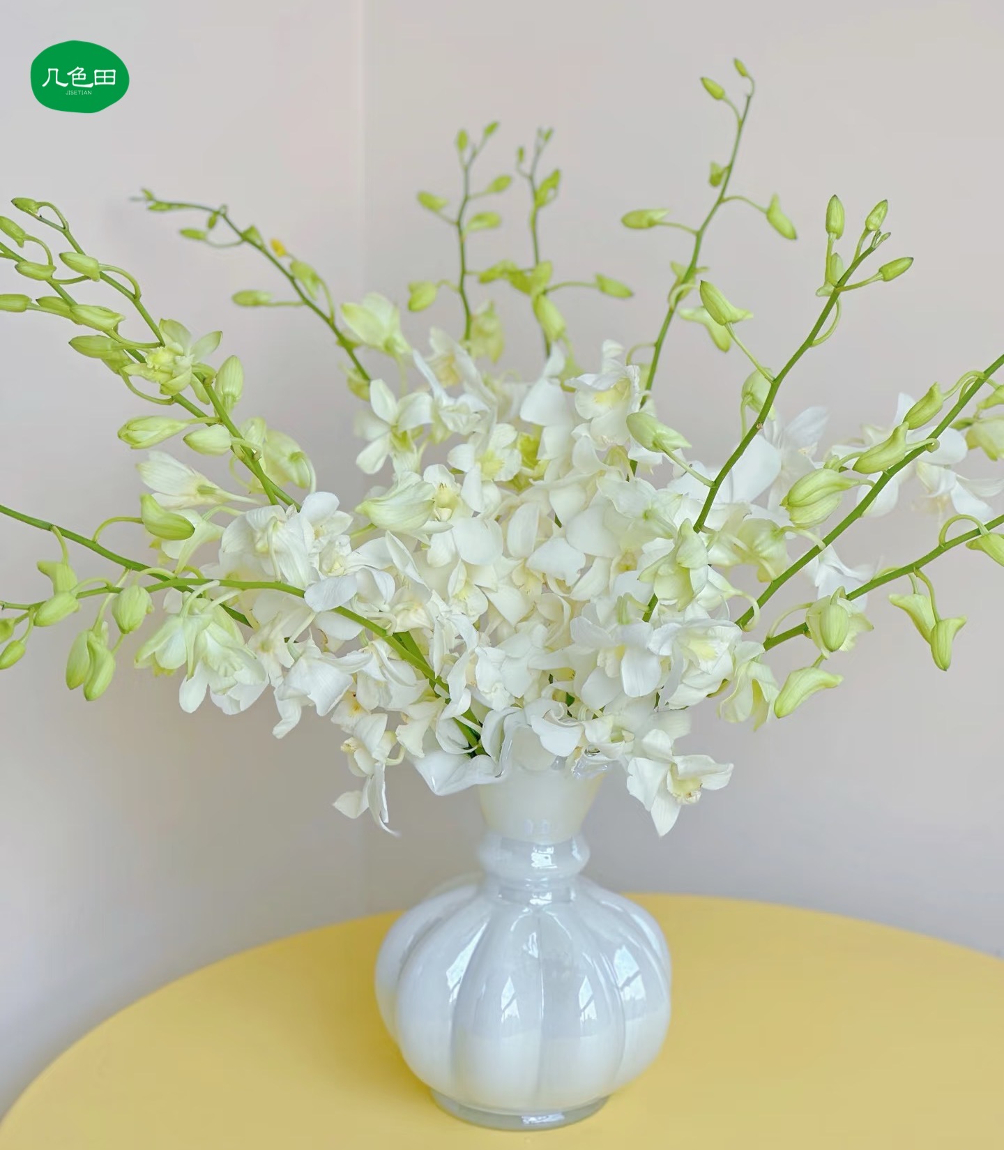 （进口）白色洋兰（10枝）----云南直发鲜花云南花插花鲜花