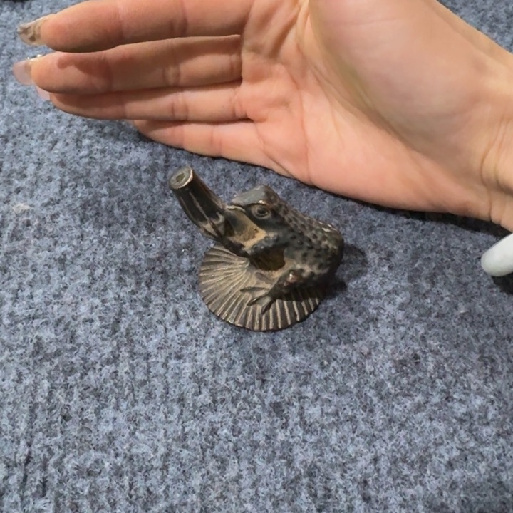 释*花，，，，，，，，。，。。。。。