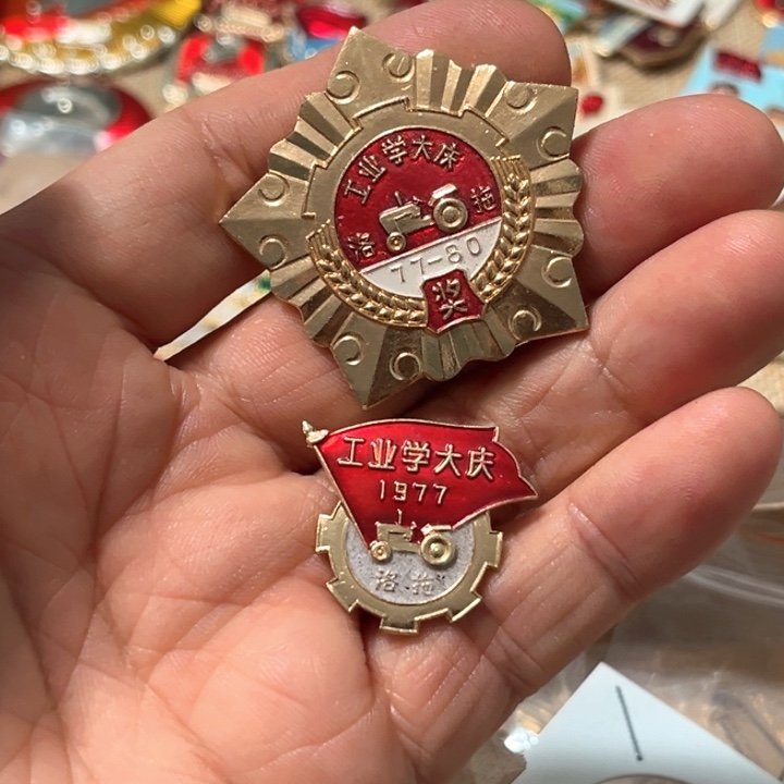 杨***藏其他普通金属普通纪念章一个