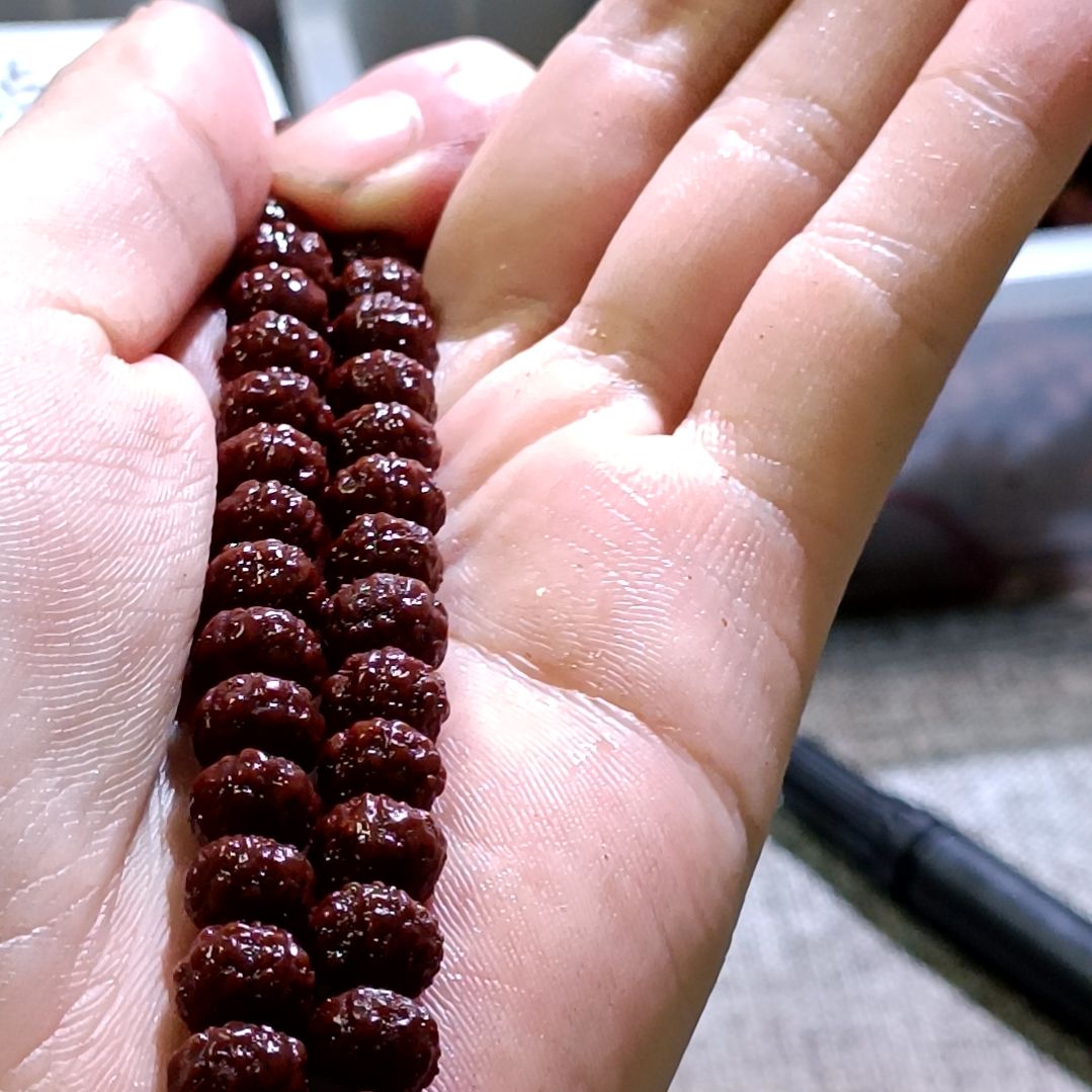 吊坠金刚菩提树王8.5mm