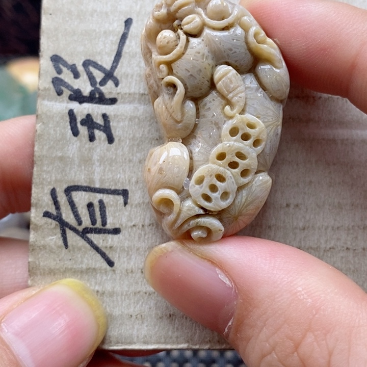 硅化珊瑚（珊瑚玉）颈饰未镶嵌