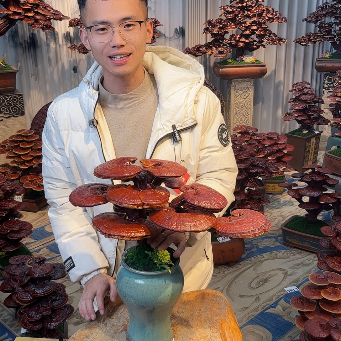 无花朵58888888888