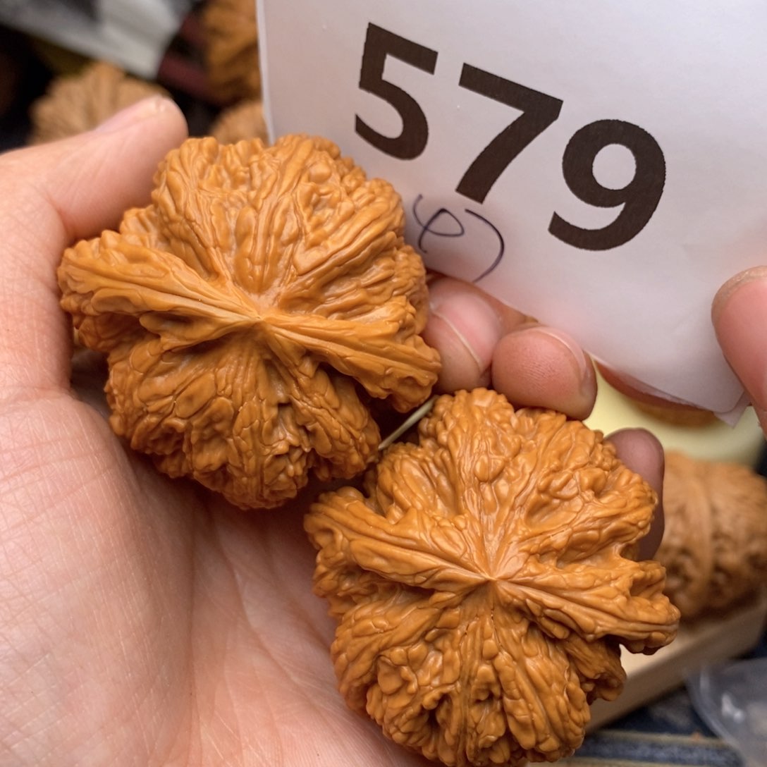文玩核桃把件579号47粗筋对偏
