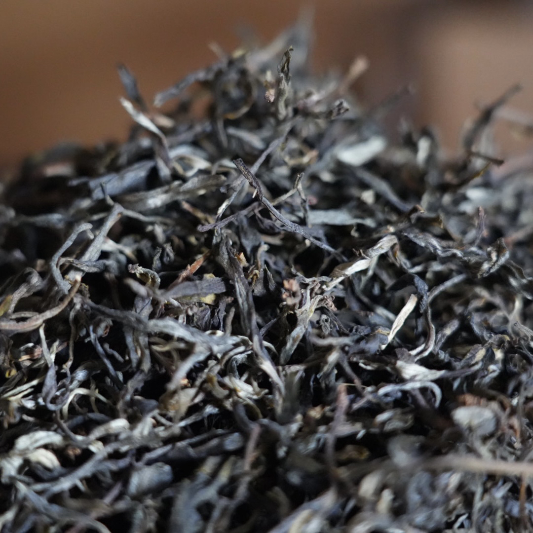 2025年河边寨大树春茶 7月2日【010】