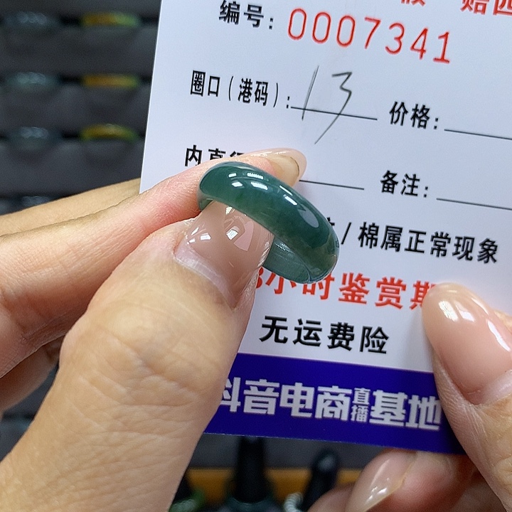 翡翠戒指未镶嵌     7341