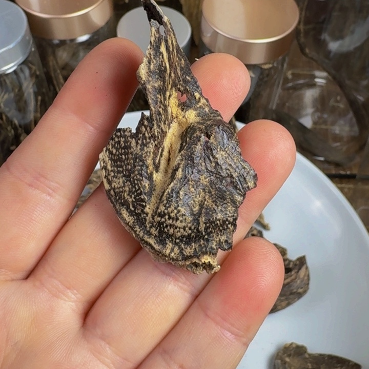 沉香沉香木制品海南老壳子1.66克