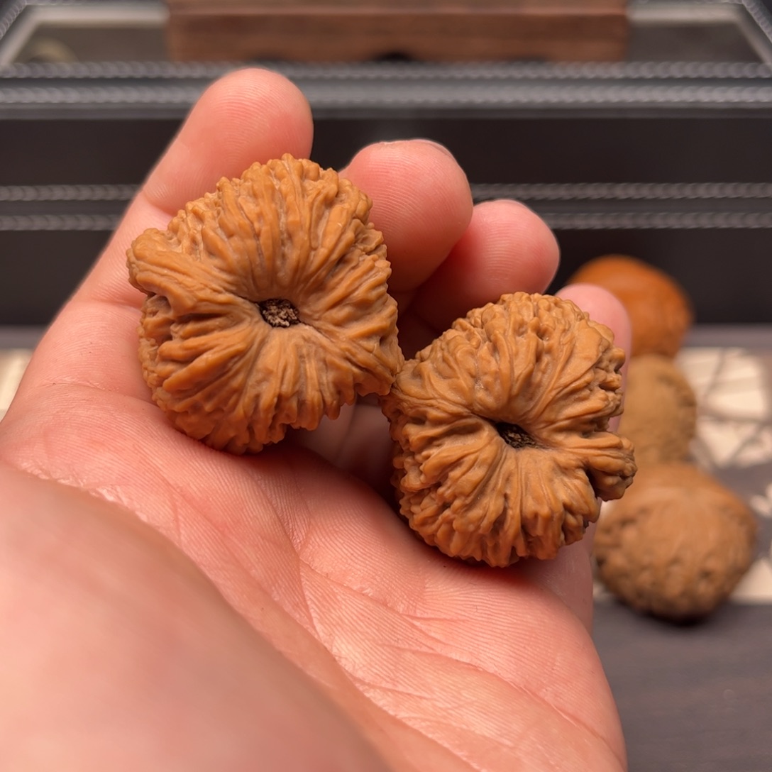 文玩核桃吊坠藕*35南将石