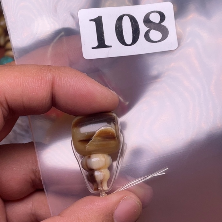 驼骨其他人工养殖