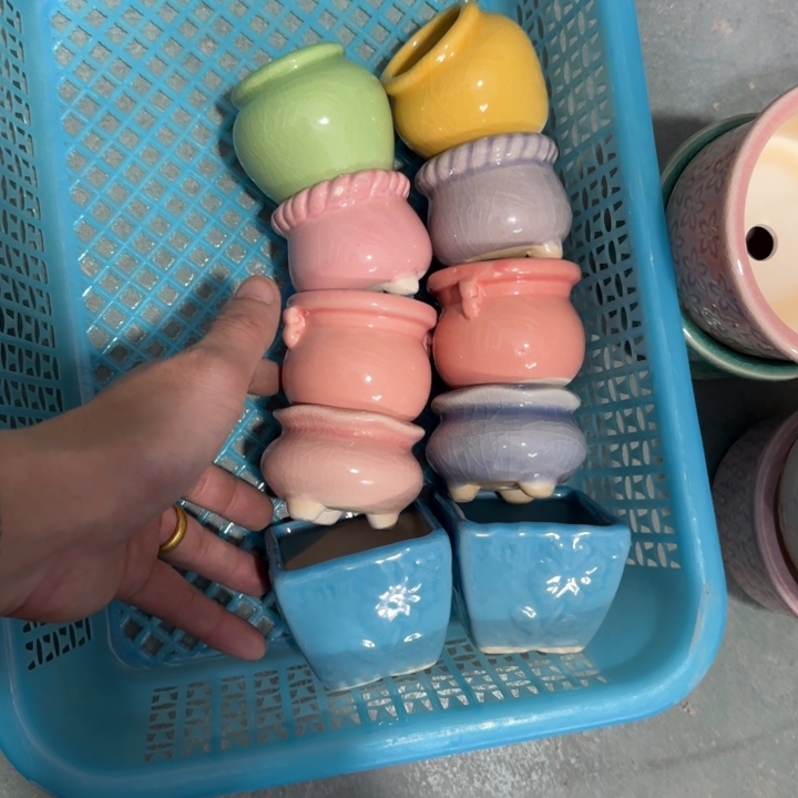 10个《所有单满15发（花盆）》