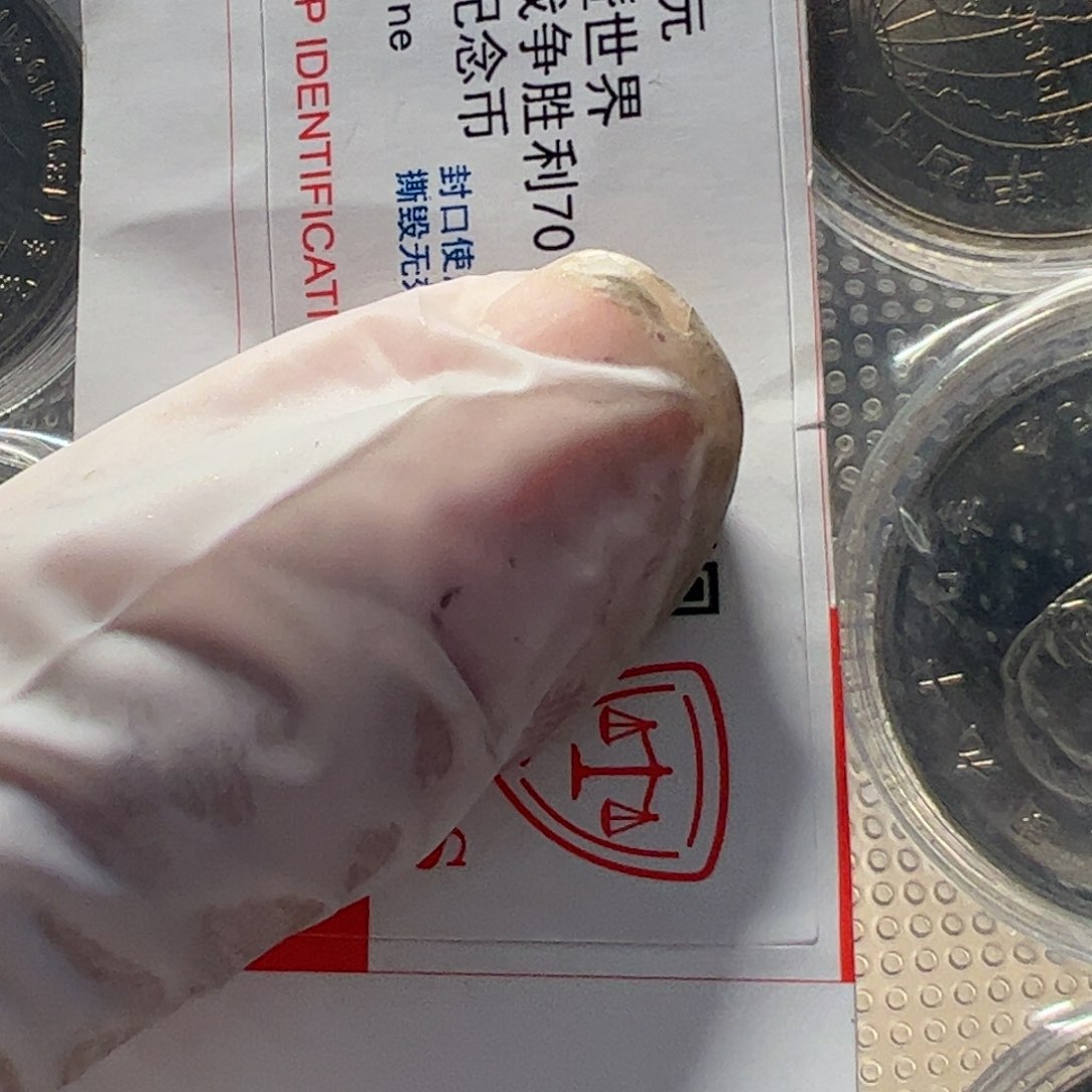 其他普通金属套装10枚币