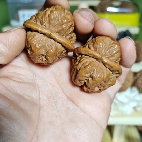 肚42加尺寸，蛤蟆头