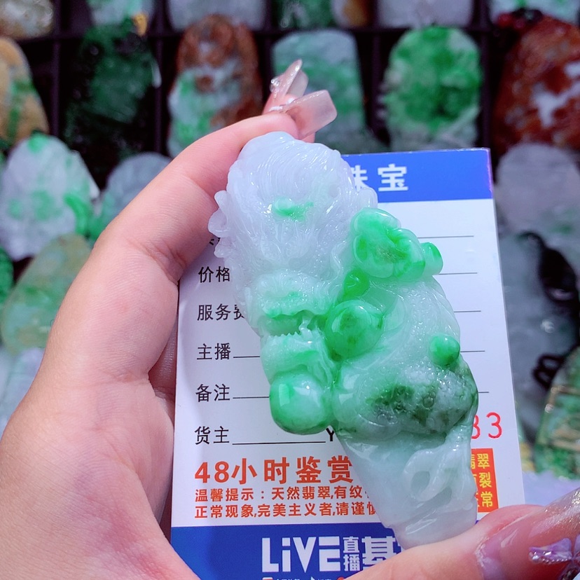 【闪购商品】翡翠颈饰未镶嵌挂件