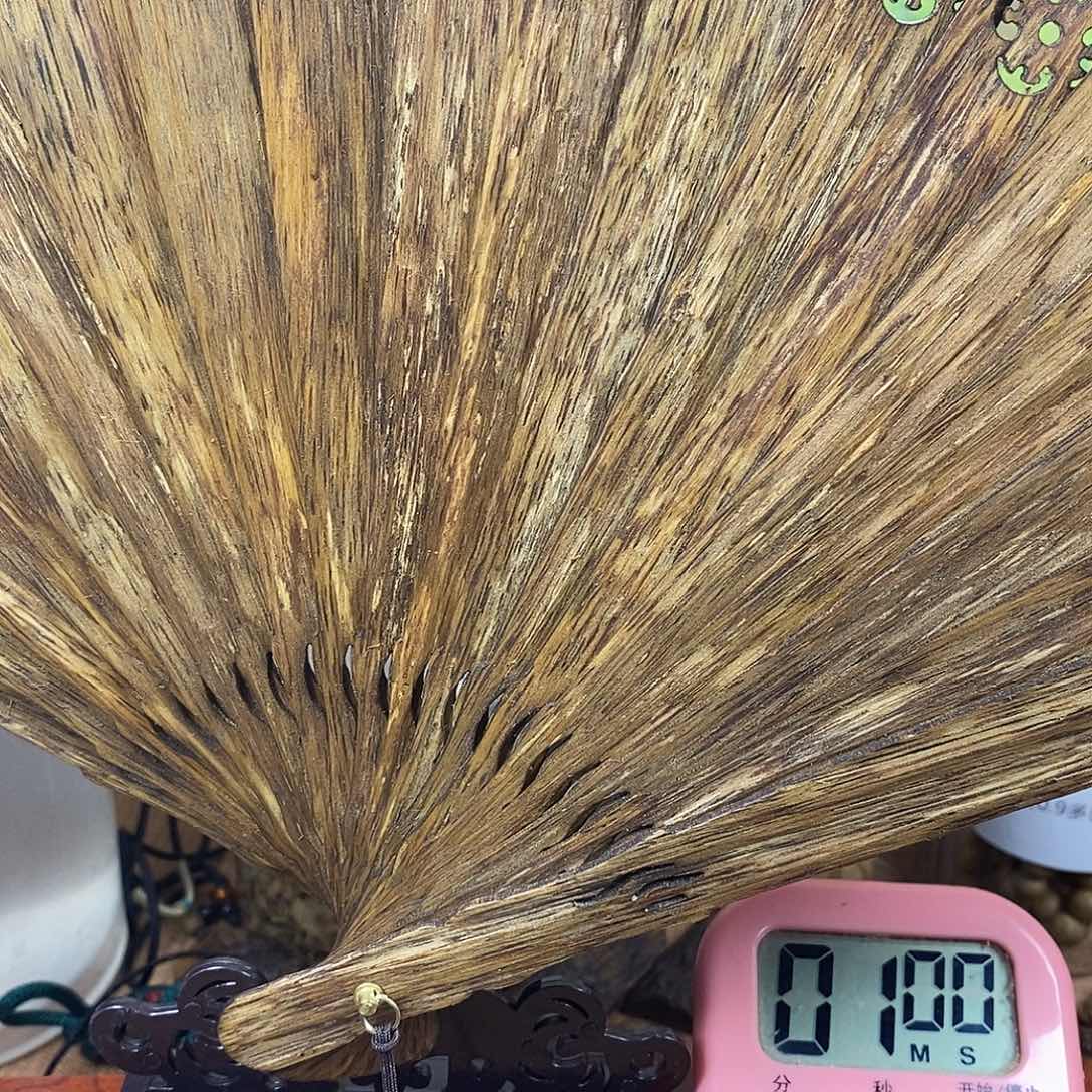 海***℃芽庄扇子咯哦哦哦哦哦哦