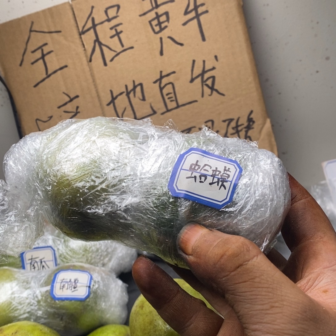 Zjc品质保证蛤蟆头82