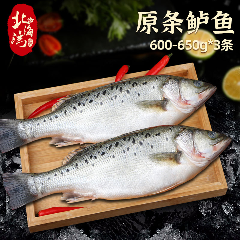 【北海湾】原条海鲈鱼600-650g/条*3条