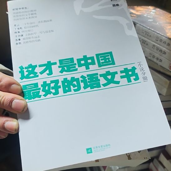 这才是中国最好的语文书小说分册平装