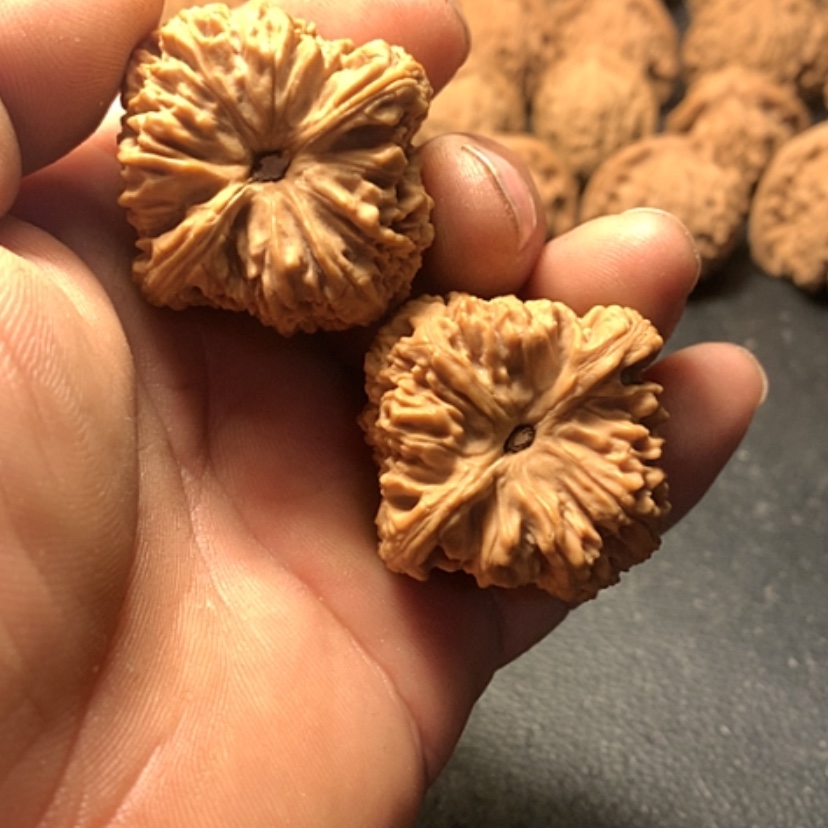 【闪购商品】普*南疆