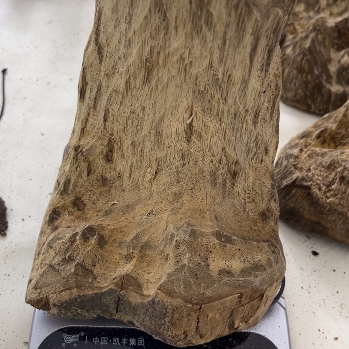 沉香沉香木制品海南沉香黄油格树胚715克