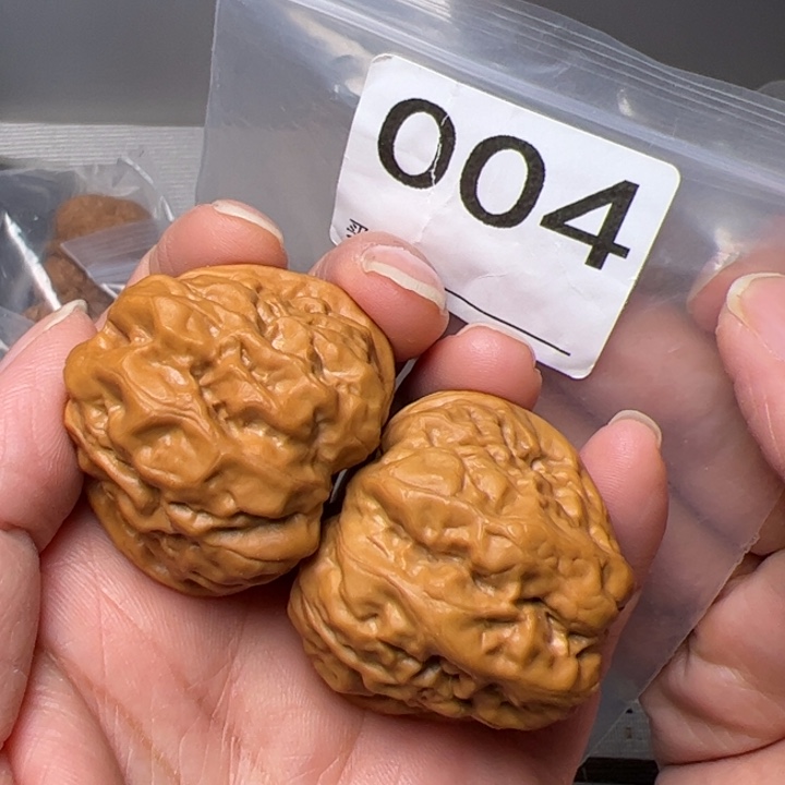 核桃边38肚42尺004号