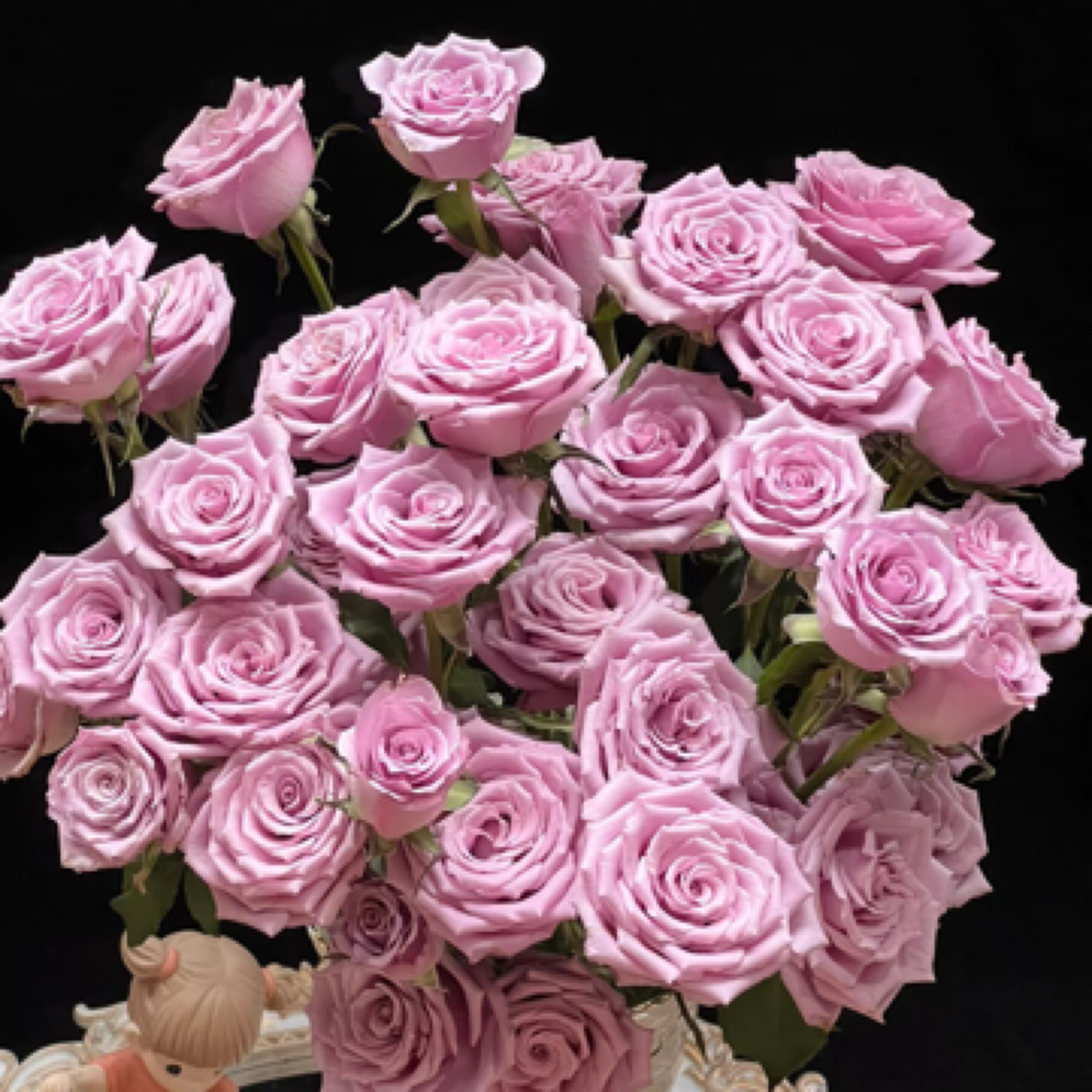 紫霞仙子多头玫瑰批发2单冷链包邮