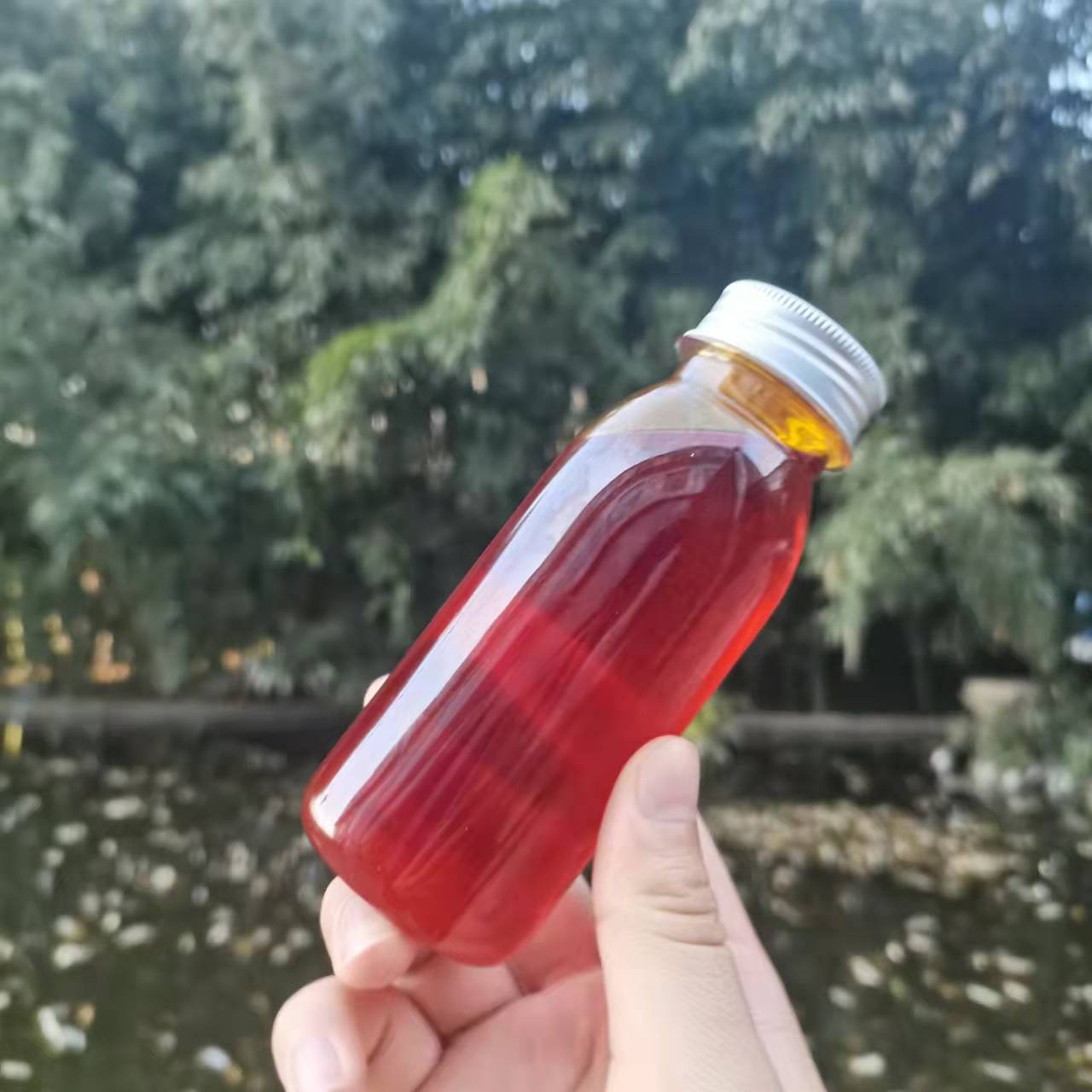 厂内皂用单方冷榨沙棘果油