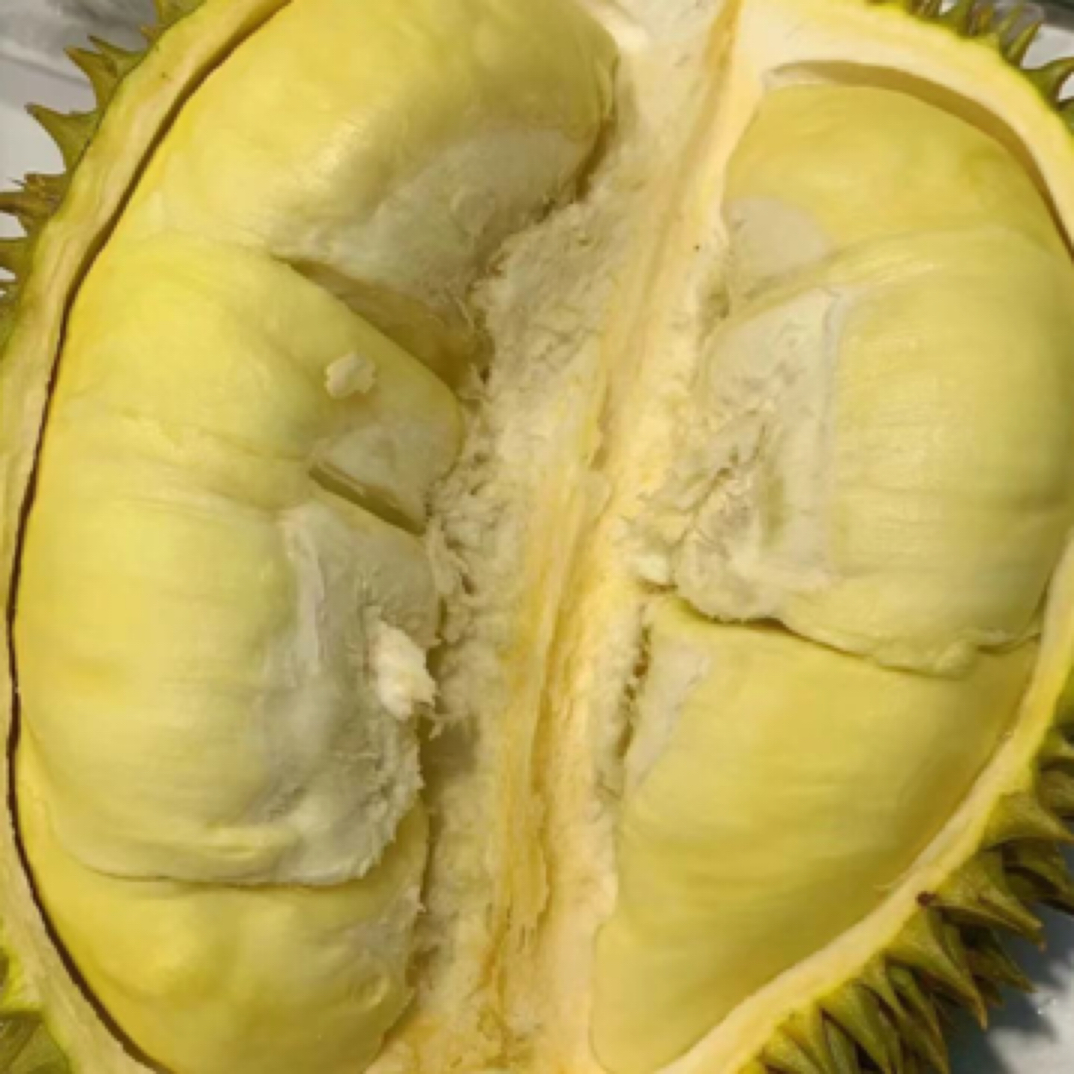 新鲜金枕榴莲：128元1.5斤肉核小榴莲.现剥同城配金枕泰国