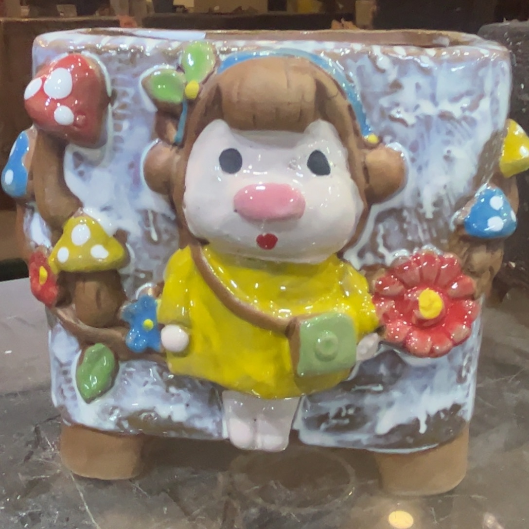 满20飞花盆爱退款拉黑