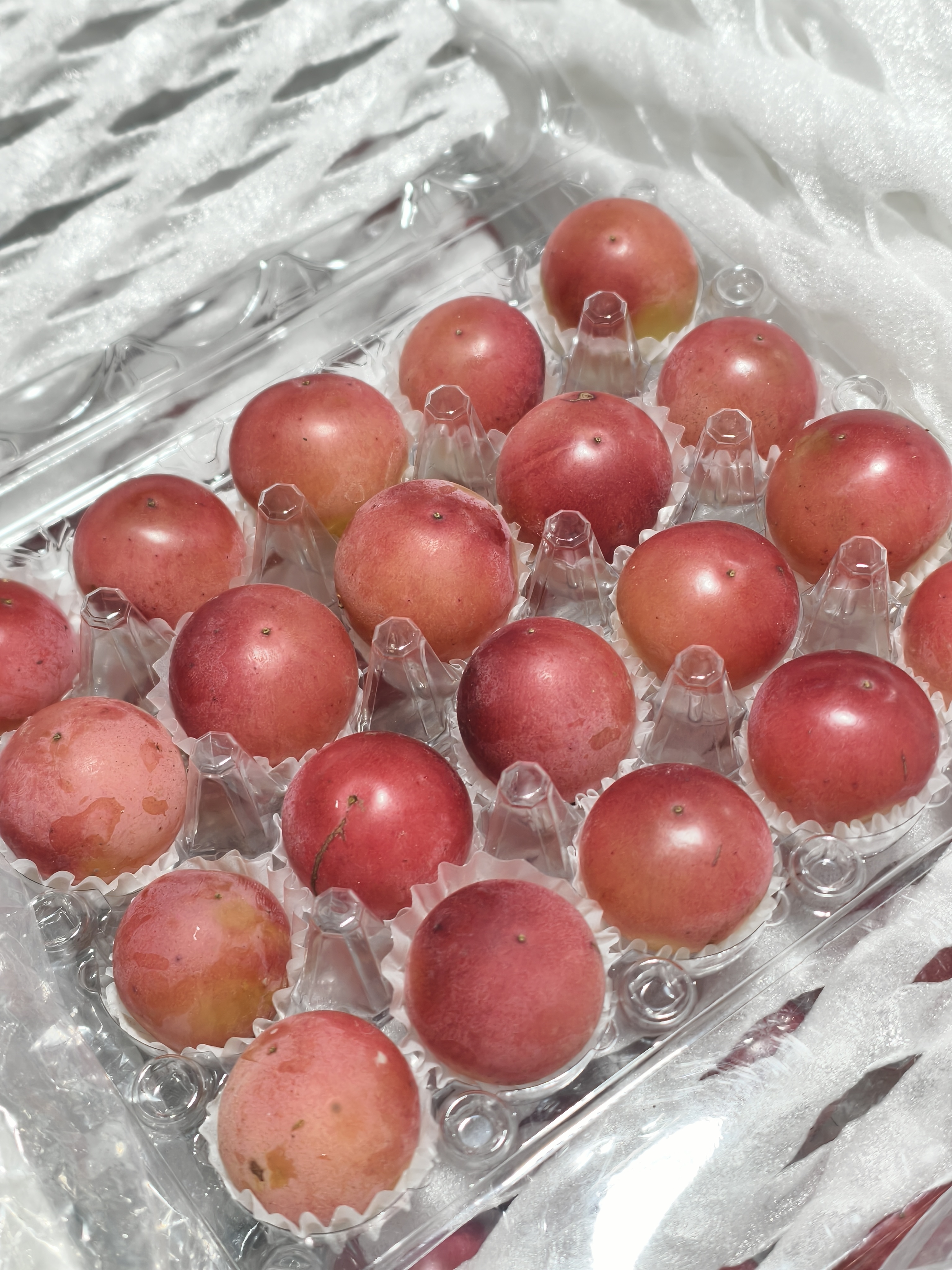 【无售后介意勿拍】妮娜皇后【盒装】直播福利