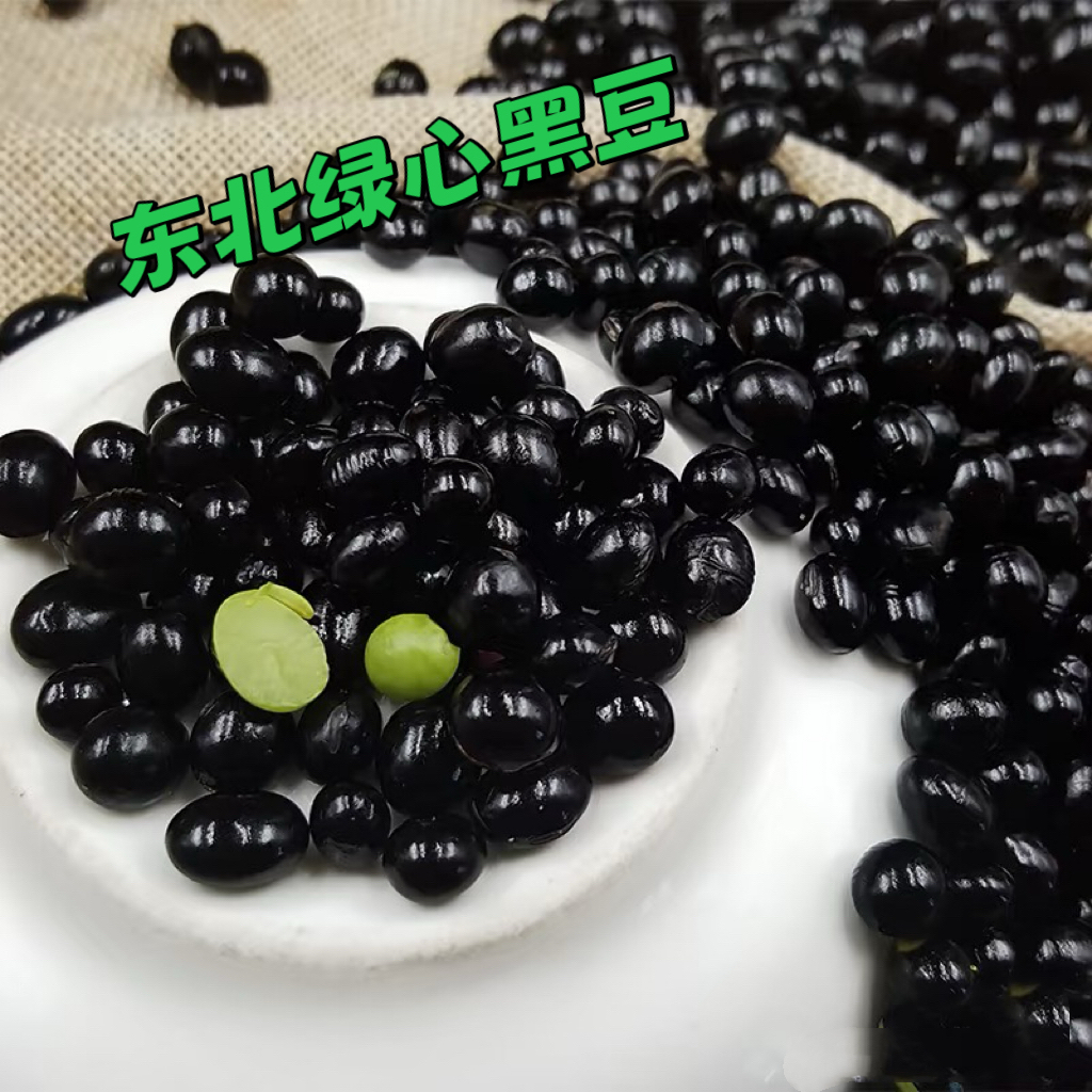 东北绿芯黑豆绿心黑豆可泡醋做豆浆豆芽优质非转基因五谷杂粮