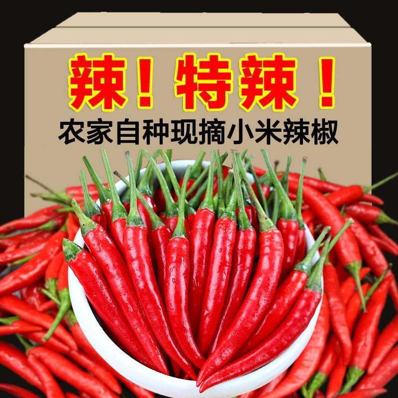 【新鲜】小米辣椒特辣巨辣朝天椒现摘现发调味蔬菜红辣椒F