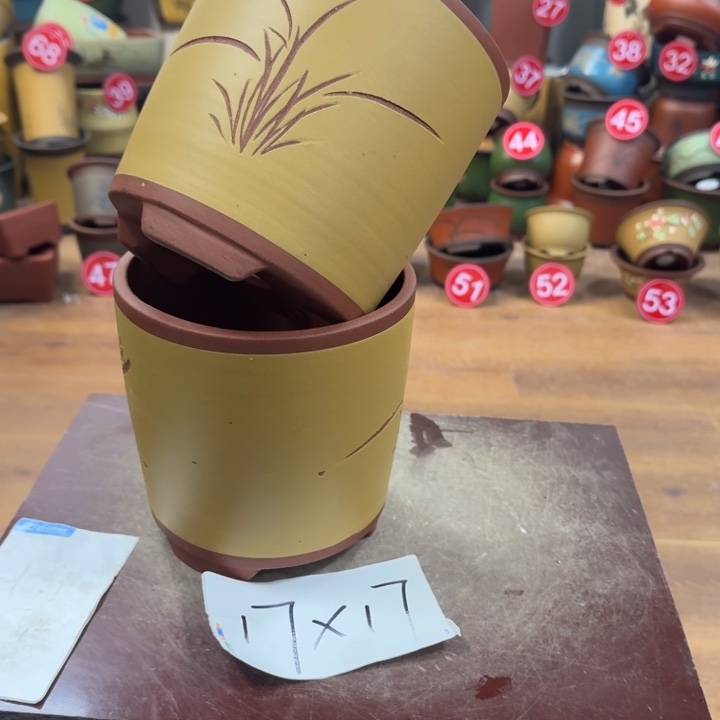 ****奶紫砂花盆破损包赔