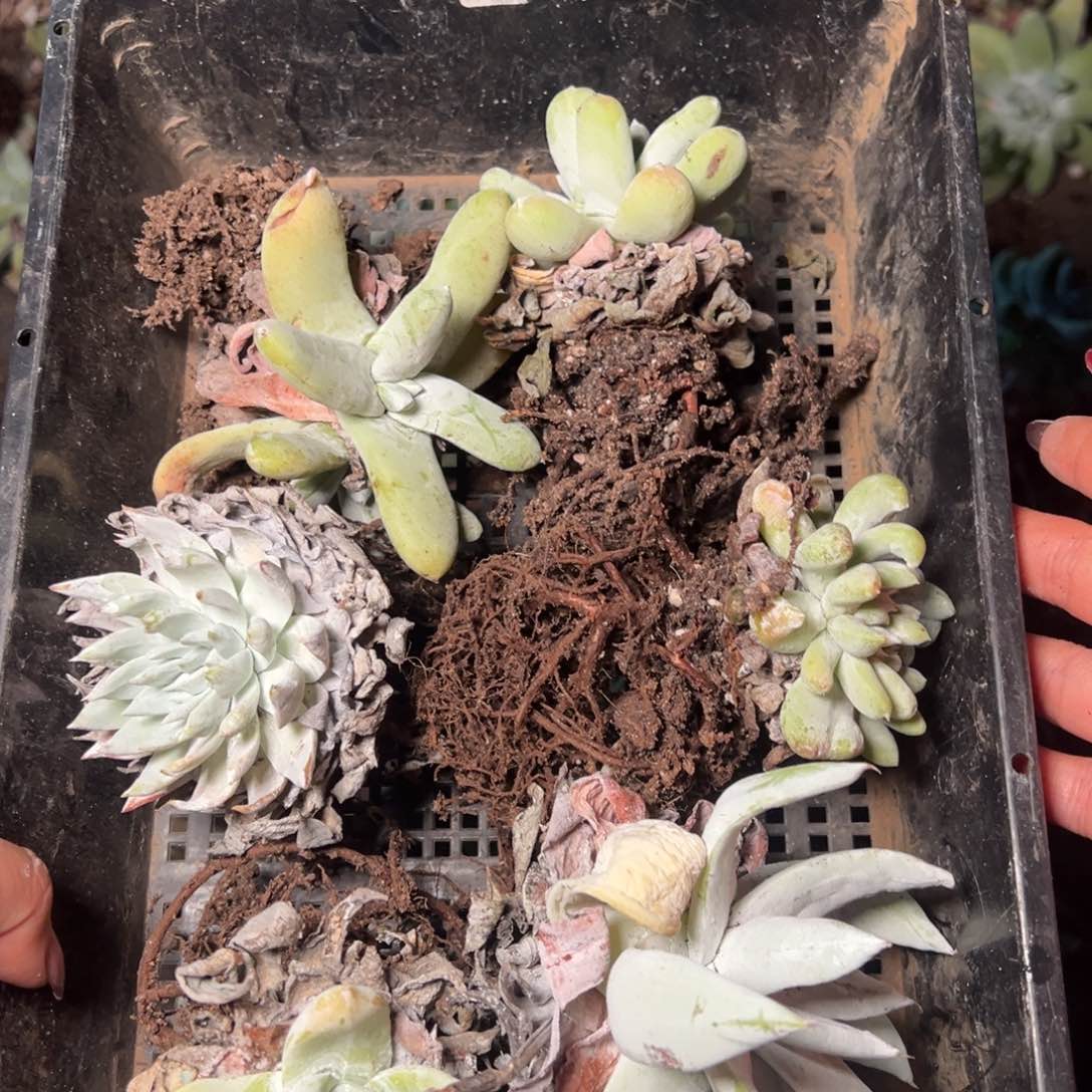 1330哈哈哈哈哈哈哈哈哈