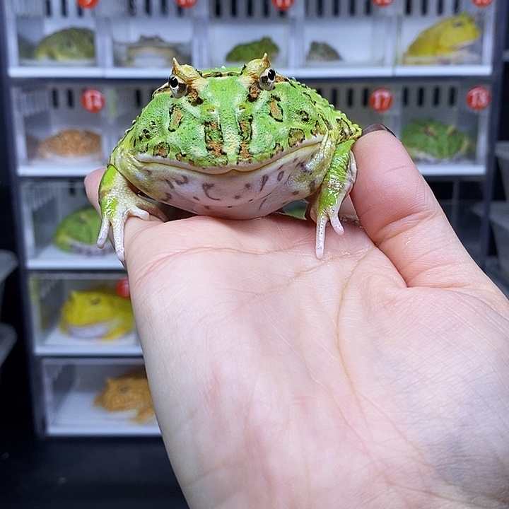 特价秒杀活动的价格