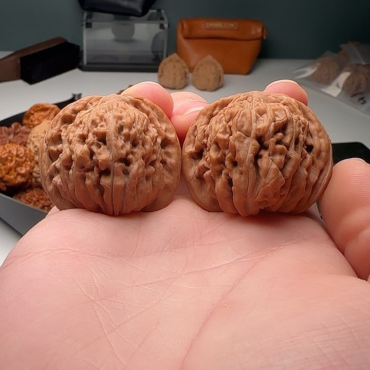 39-37-33一代楼A58号