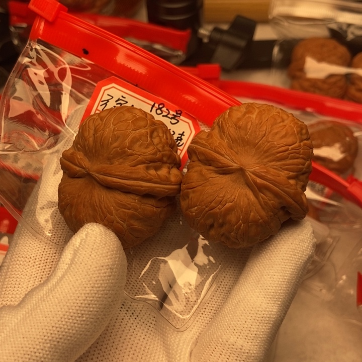 洪***发文玩核桃吊坠43全品元宝带刷子手套