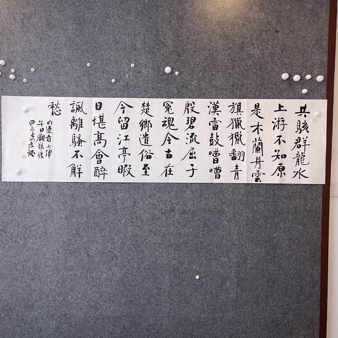 书法中书协会员杨建龙180×50