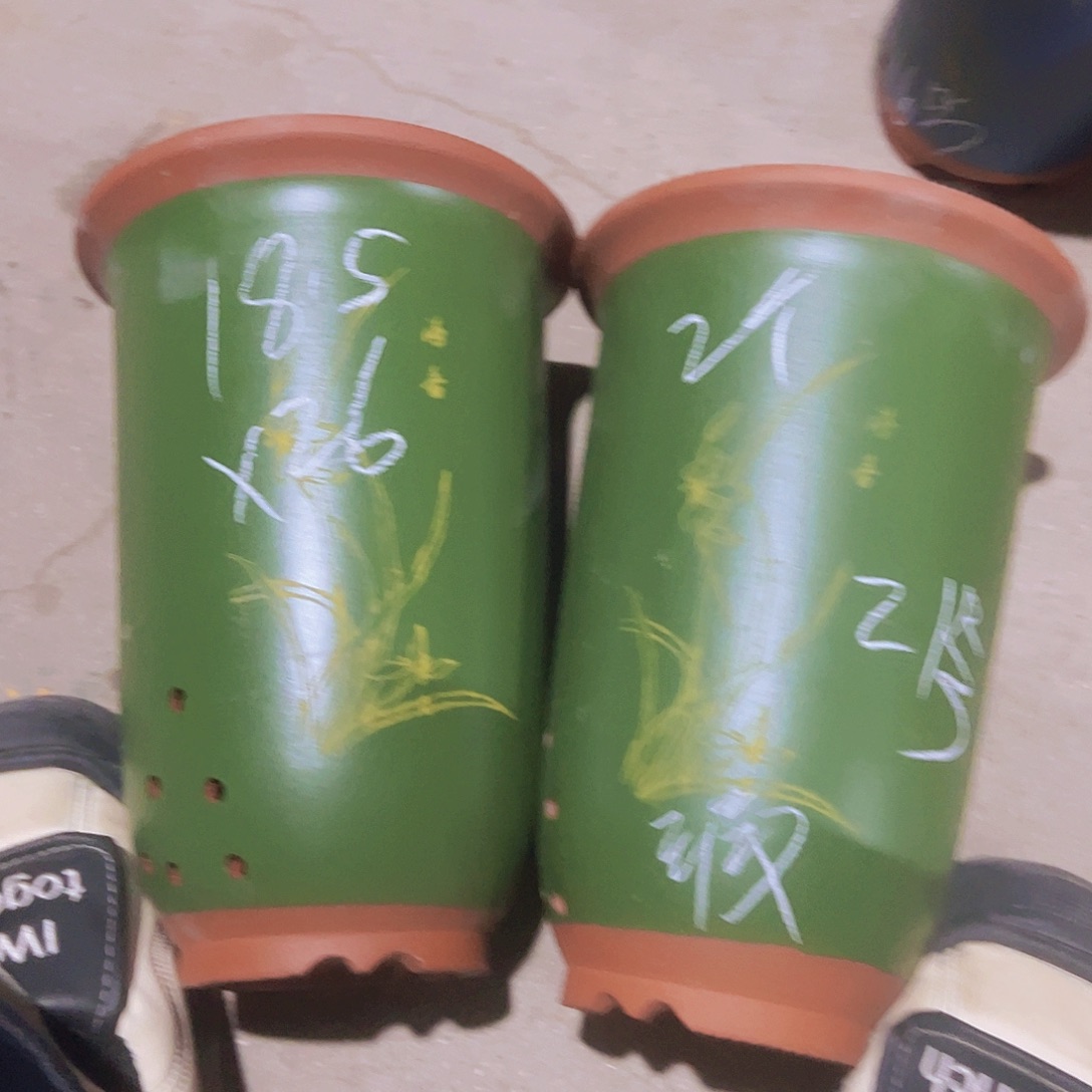 紫砂21……………………………………