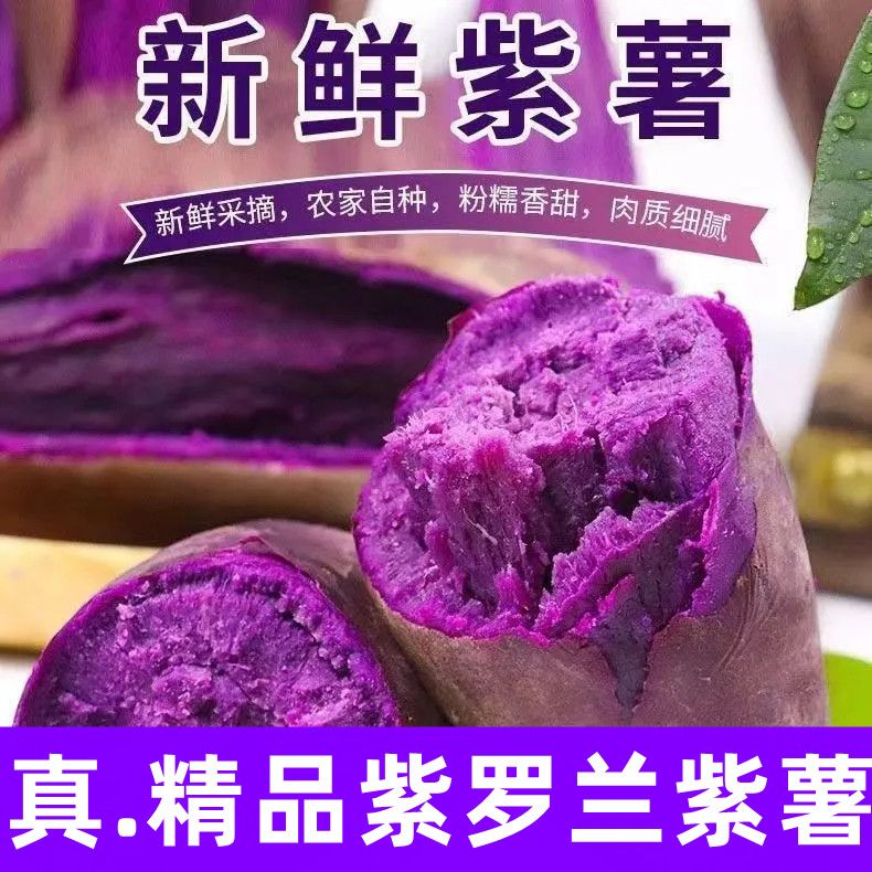 5斤中大果-新鲜现挖紫罗兰紫薯单果3-9两