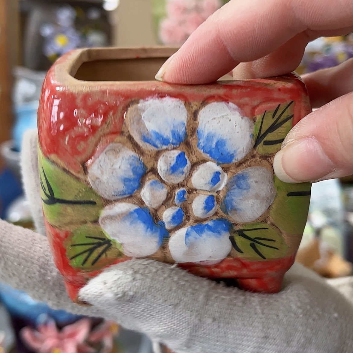 【闪购商品】红陶福利