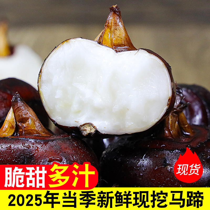 马蹄果当季新鲜时令水果蔬菜3/5/9斤脆甜多汁荸荠特大个饽荠现挖