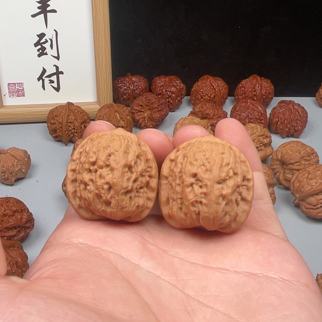 核桃平谷野生斯诺克